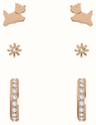 Radley Jewellery Baylis Road | Set of 3 Pairs of Earrings | Rose Gold Plated RYJ1306