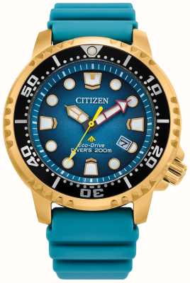 Citizen Men's Promaster Diver Eco-Drive Teal Blue Dial Blue PU Strap BN0162-02X