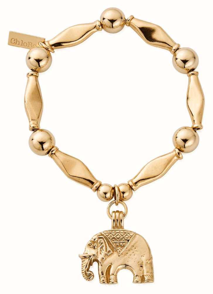434 Gold Charm Bracelet Stock Photos, High-Res Pictures, and Images - Getty  Images