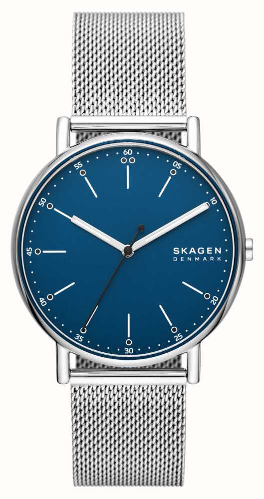 Skagen blue mesh sale