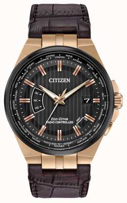 Citizen Men's World Perpetual A-T | Brown Leather Strap CB0168-08E